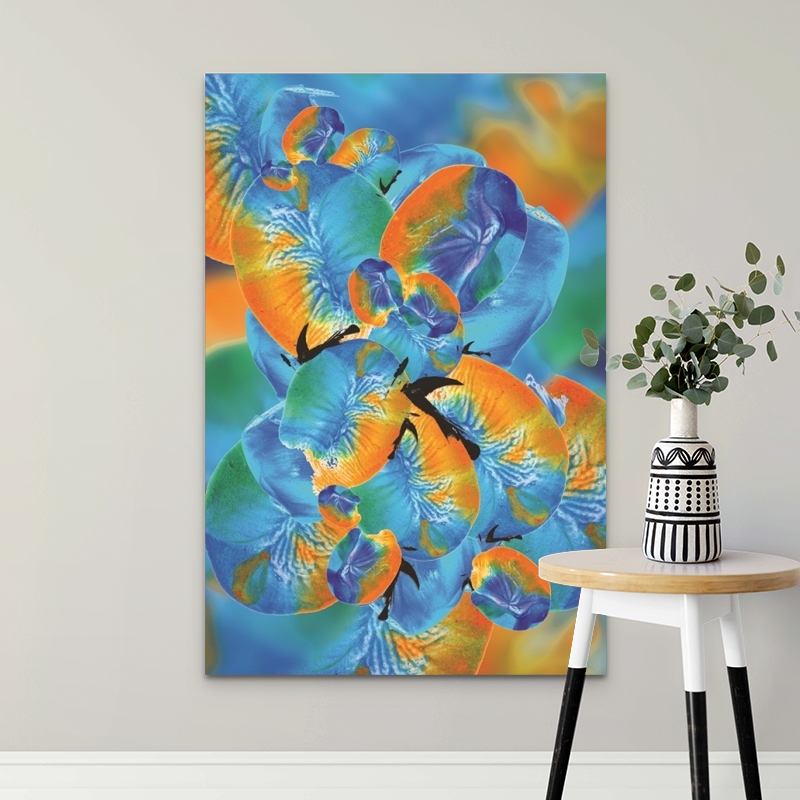 Picture of JBS-14569