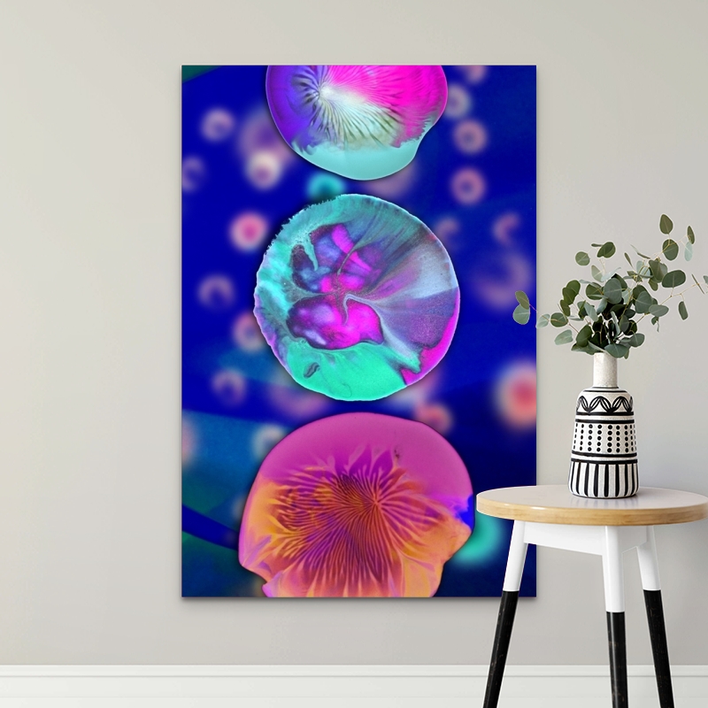 Picture of JBS-43898